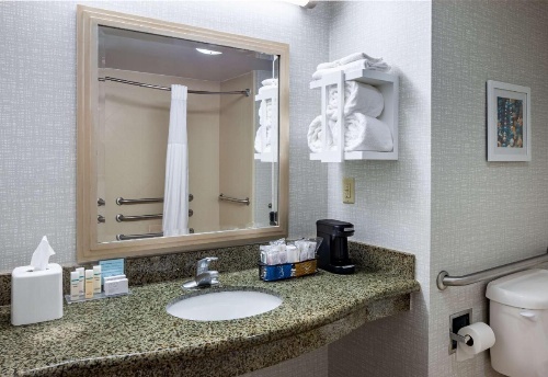 Hampton Inn By Hilton & Suites Mobile I-65-Airport Blvd., Al image 19